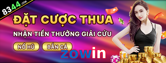 zowin
